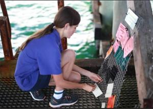 顯揚科技亮相央視直播間