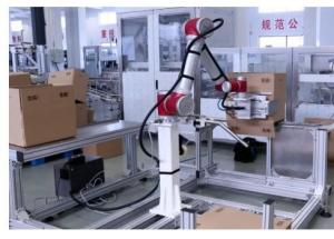 顯揚科技亮相央視直播間