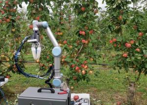 顯揚(yáng)科技亮相央視直播間