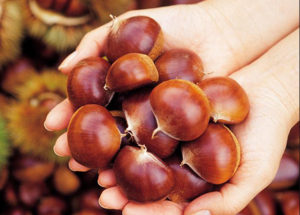 顯揚科技亮相央視直播間