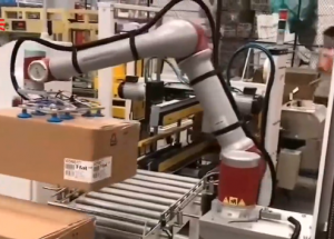 顯揚科技亮相央視直播間