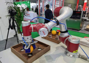 顯揚科技亮相央視直播間