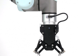 顯揚科技亮相央視直播間