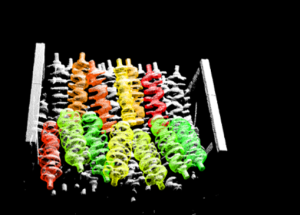 顯揚(yáng)科技亮相央視直播間